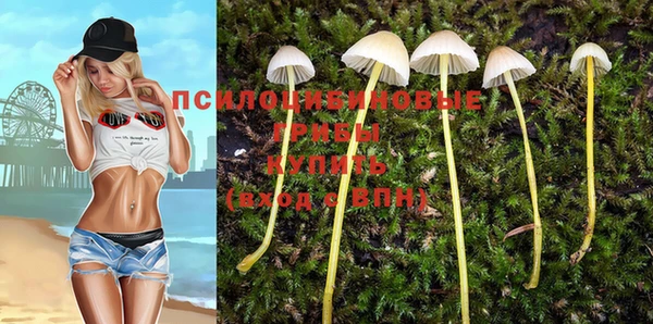 МДПВ Михайловск