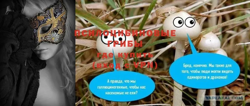 Галлюциногенные грибы MAGIC MUSHROOMS  купить наркоту  Лосино-Петровский 