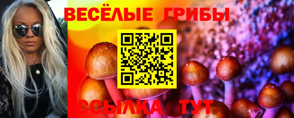 Лосино-Петровский  Галлюциногенные грибы прущие грибы  Вход с VPN 